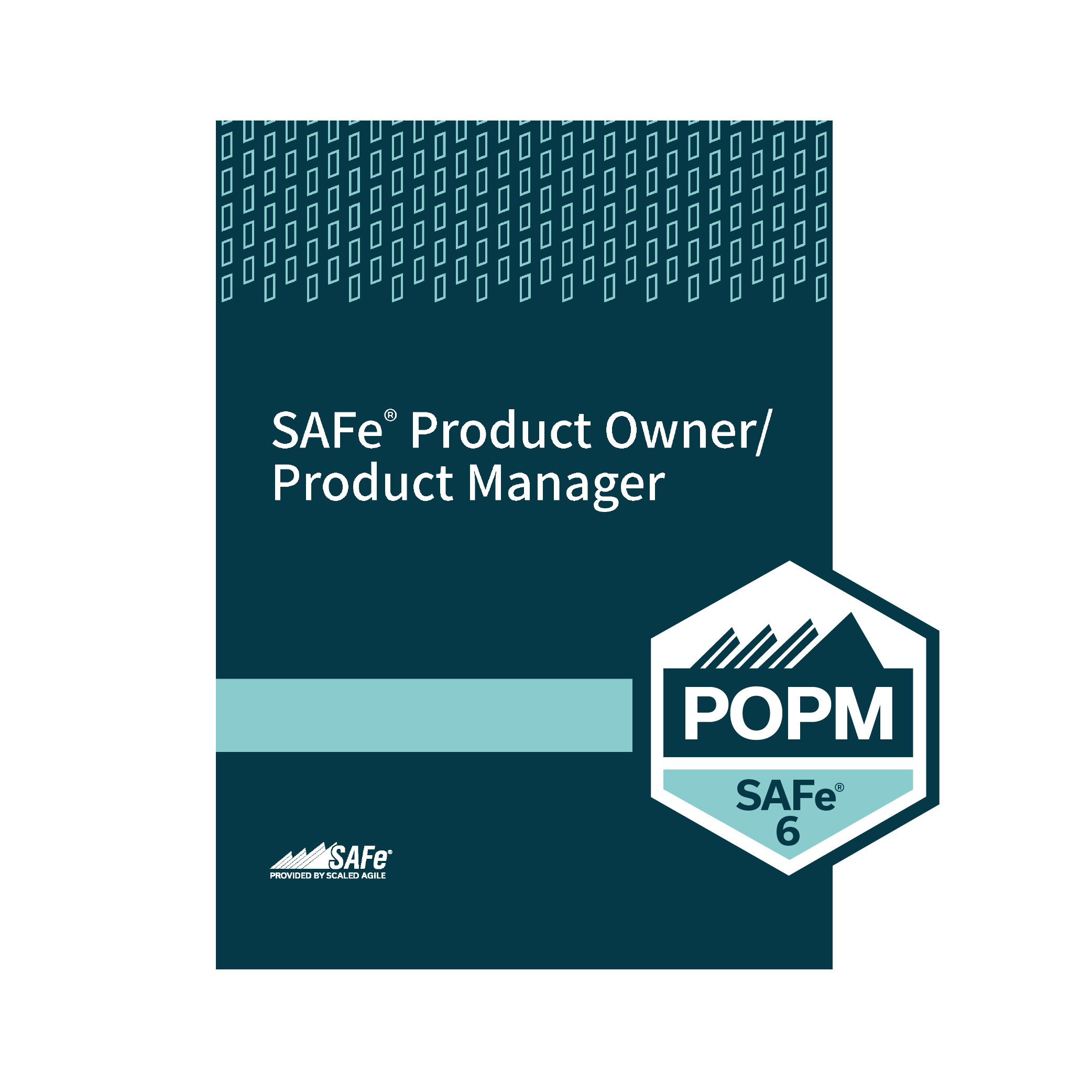 SAFe Product Owner